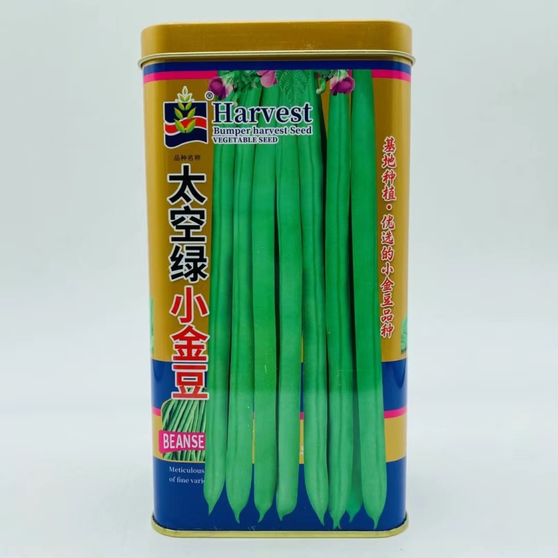 太空绿小金豆种子基地种植优选小金豆种籽圆形荚豆角种子抗寒