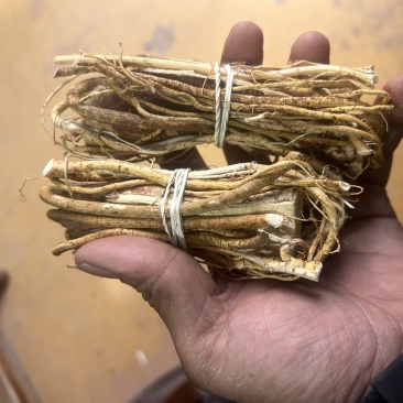 五指毛桃，小扎包心