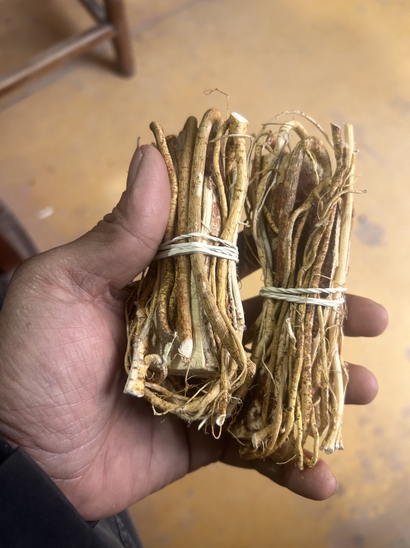 五指毛桃，小扎包心