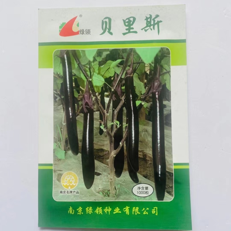 绿领菲尼克斯贝里斯黑紫长茄子种籽早熟长条顺直紫色长茄种