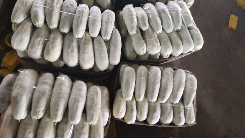 青县花蕾，八里香，吉糖金兰1，博洋六一，博洋九一大量供应