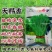 割茬茴香种子耐热耐寒一年四季茴香种子大扁杆茴香籽香味浓