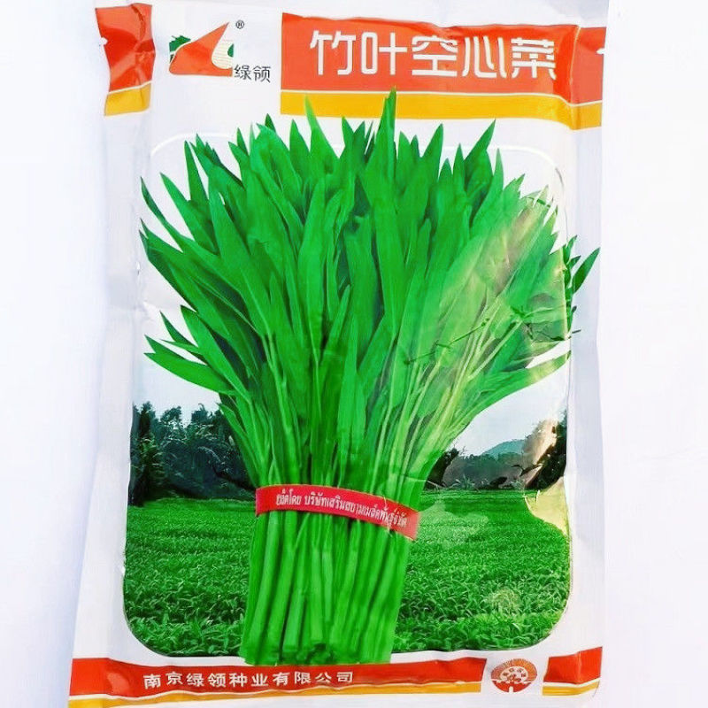 【正品保证】绿领泰国空心菜种子绿领竹叶空心菜种子小叶空心