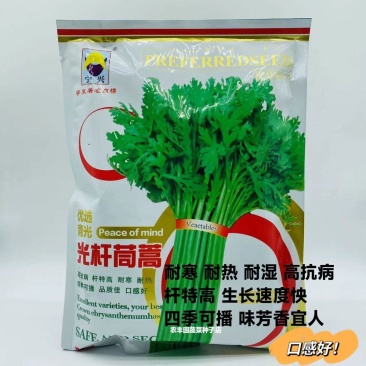 光杆茼蒿种子抗病高产优质蔬菜种籽四季早熟耐热茼蒿种籽四季