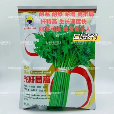 光杆茼蒿种子抗病高产优质蔬菜种籽四季早熟耐热茼蒿种籽四季