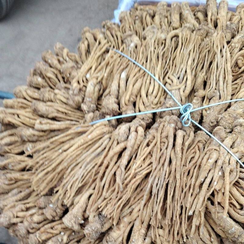 甘肃岷县原产地当归保值保量，长期供货