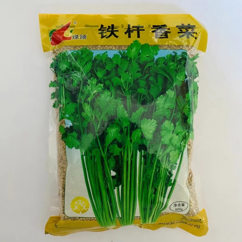 绿领种业铁杆香菜种子大叶芫荽阳台四季盆栽种菜种籽农家蔬菜