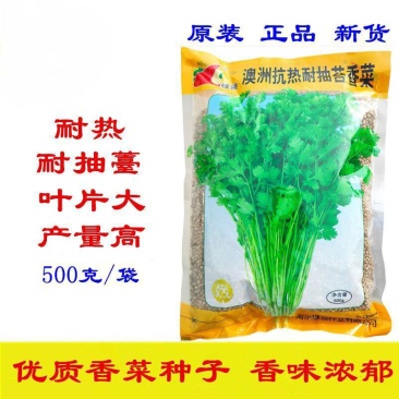 绿领耐热耐高温香菜抗热菜种子耐抽苔澳洲四季香菜香菜籽批发