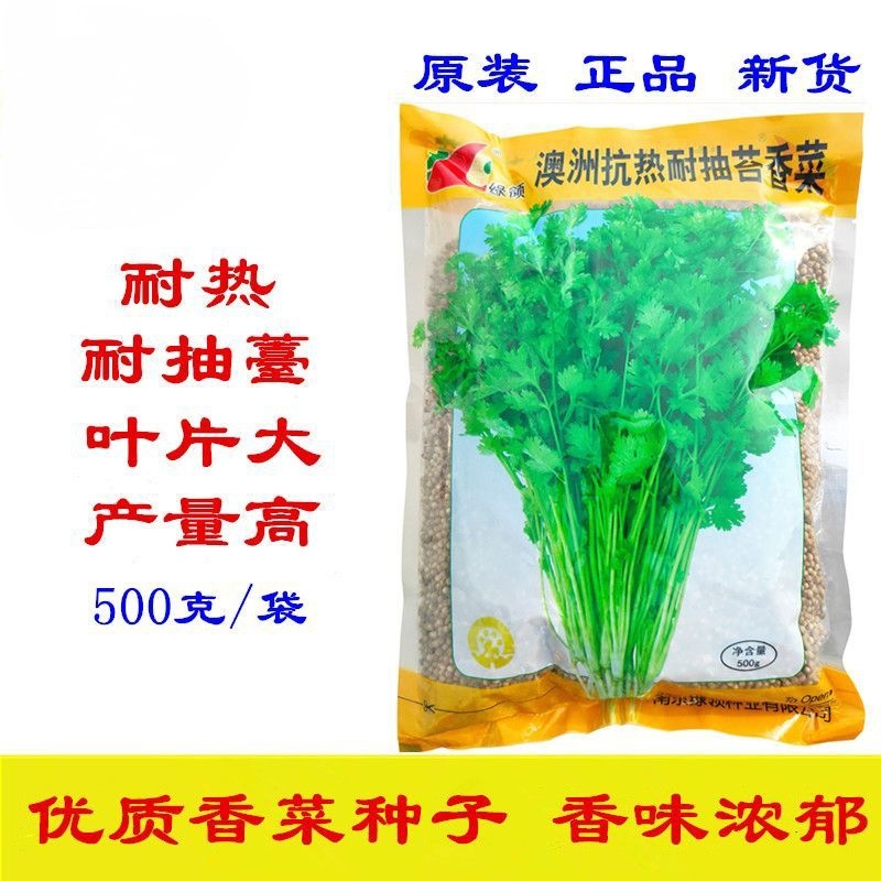 绿领耐热耐高温香菜抗热菜种子耐抽苔澳洲四季香菜香菜籽批发
