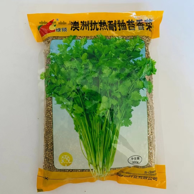 绿领耐热耐高温香菜抗热菜种子耐抽苔澳洲四季香菜香菜籽批发