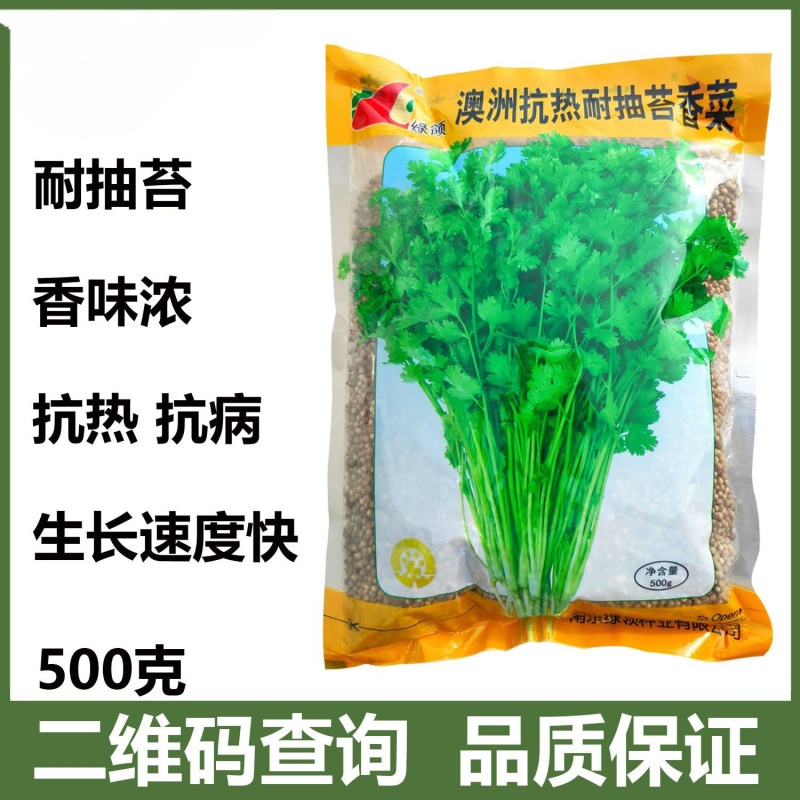 绿领耐热耐高温香菜抗热菜种子耐抽苔澳洲四季香菜香菜籽批发
