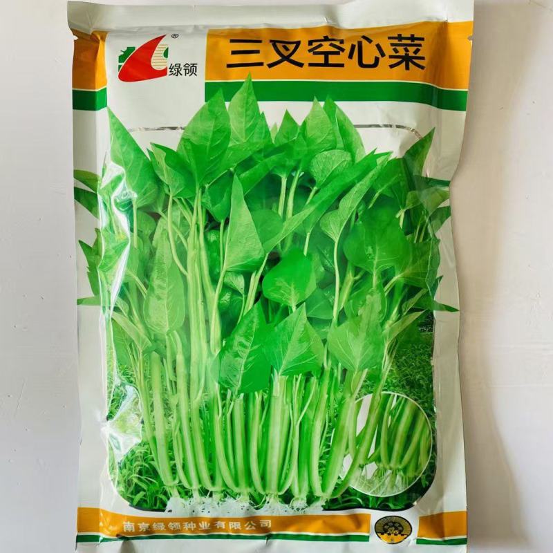 绿领三叉空心菜种子春夏秋播种旱地水培种植大叶空心菜种籽蔬