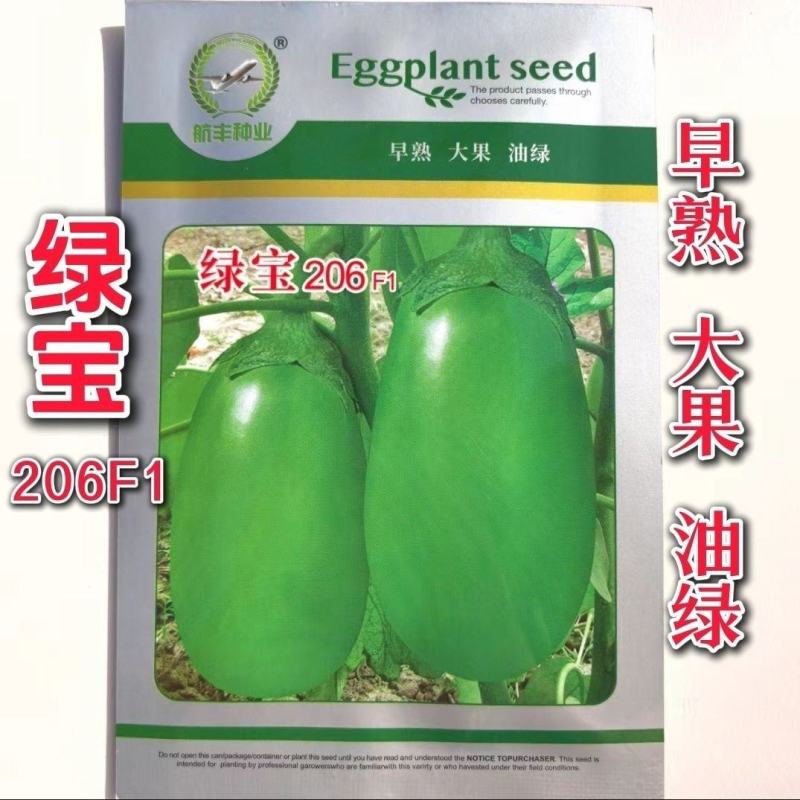 航丰绿宝206绿茄种子灯泡茄种子早熟大果油绿杂交茄子种籽