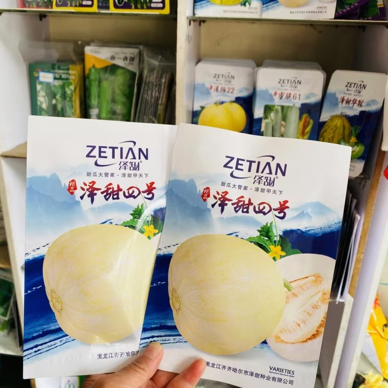 泽甜泽甜华冠四号甜瓜种子早熟薄皮圆形乳白色高产抗病香味种