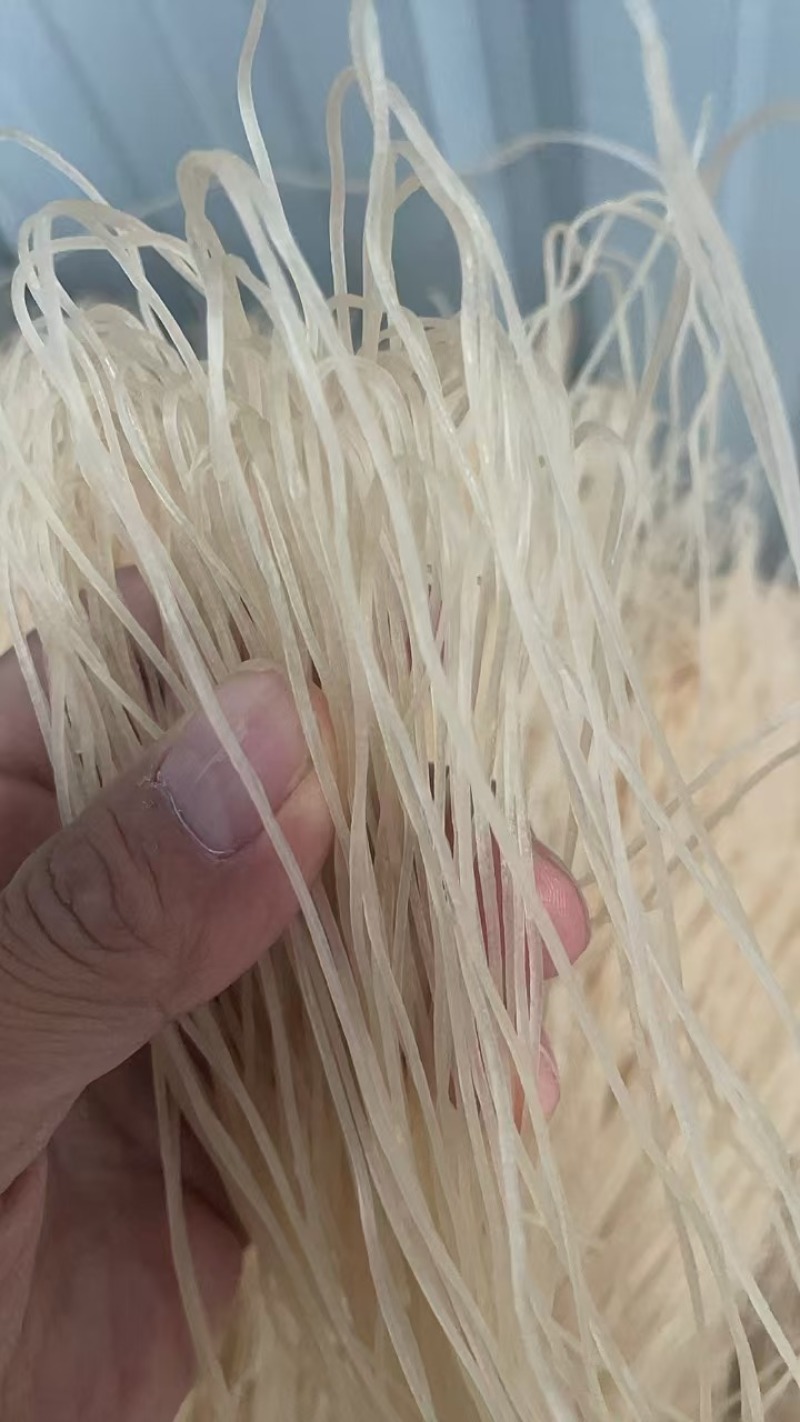 石家庄特产手工粉条，细腻滑爽，健康美味，家庭必备，快来尝鲜！