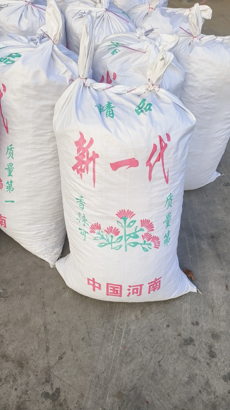 河南三樱椒子弹头，另有印度椒，一手货源，现货直非诚勿扰！