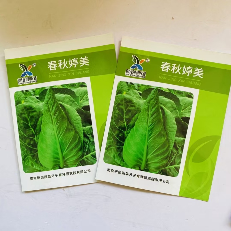 新创春秋婷美甘蓝种子中熟牛心甘蓝种子抗病耐抽耐裂球春秋种