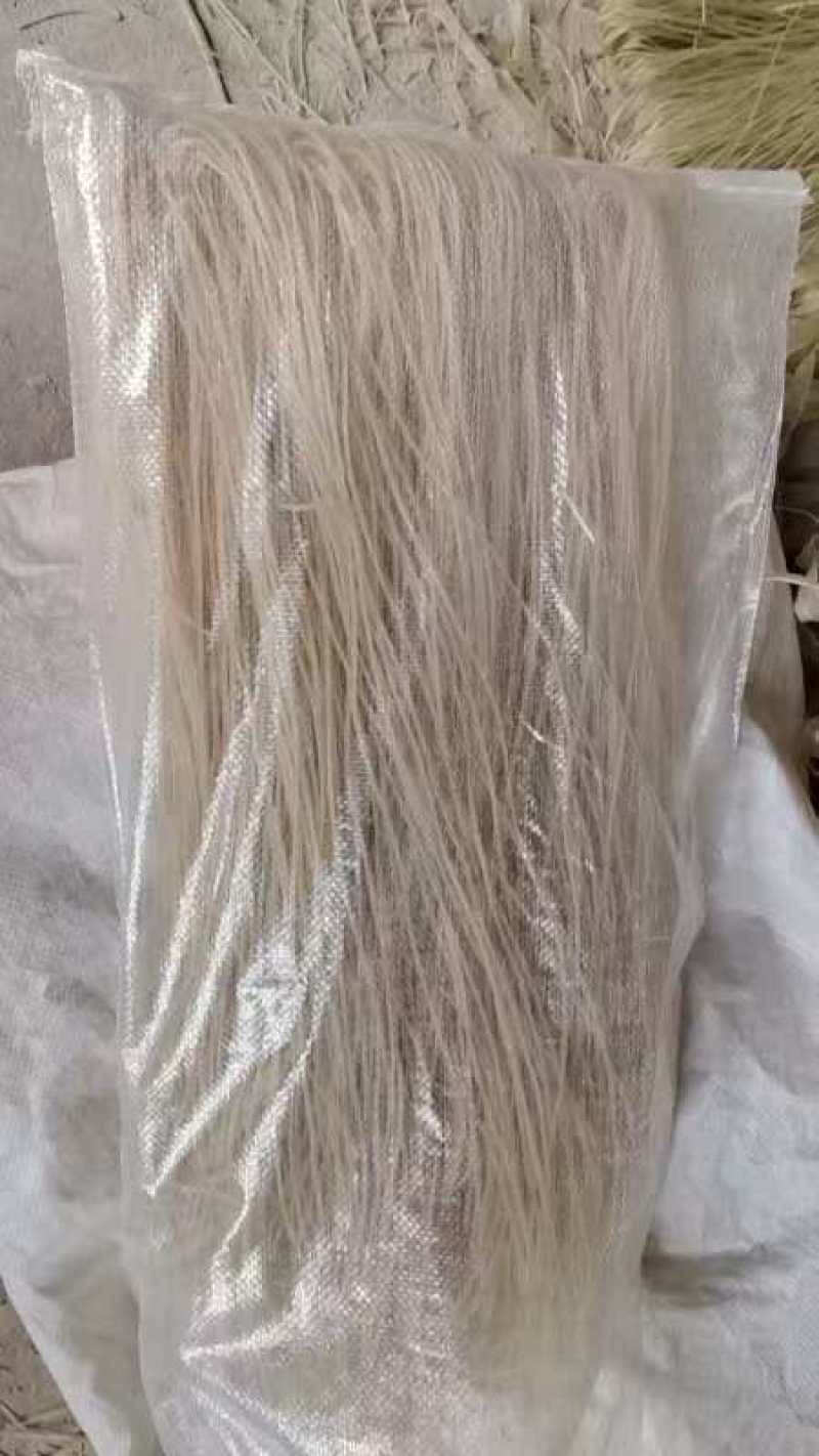 纯手工制作粉条，口感滑爽，健康美味，家庭必备，快来尝鲜！