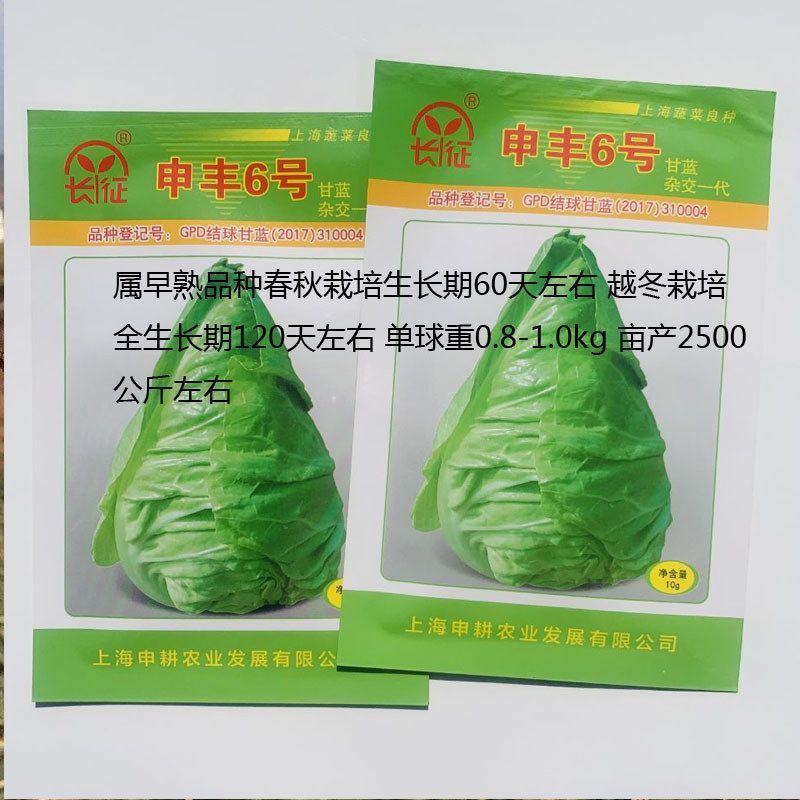 长征申丰6号牛心甘蓝菜种子春秋甘蓝种子心嫩黄结球甘兰菜种