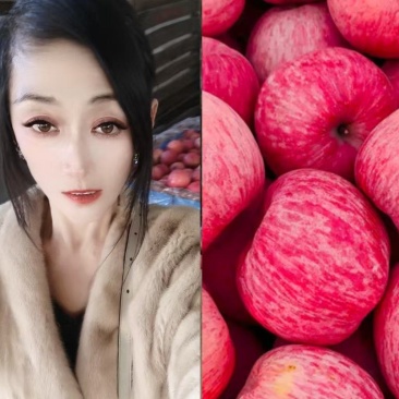 【红富士苹果上市】原产地直发!口感脆甜电商!商超整车配送