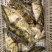 【精】水库自然放养鳜鱼吃天然饵料长大味道鲜美发全国