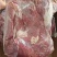 去骨牛肉适合卤煮炖锅做馅牛肉汤馆支持样品
