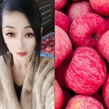 代收代存山东红富士苹果,有专业工人,全部手选货!质量达标