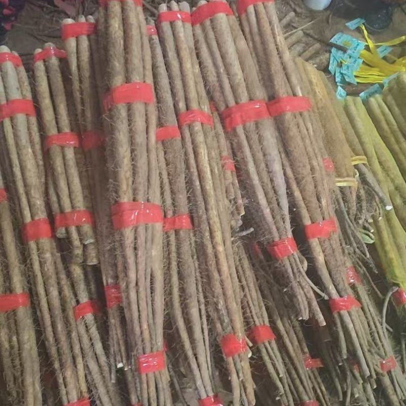 河北山药白玉山药万亩基地一件代发对接各大平台