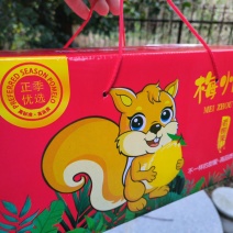 广东梅州沙田柚礼盒箱装产地直达一件代发量大从优