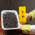 正宗武夷山肉桂岩茶桂皮浓香正岩特级马头岩大红袍茶叶礼盒装