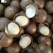 夏威夷果