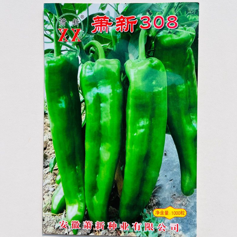 欧兰德汤老师5号顺直大椒辣椒种子高产微辣马嘴大果粗泡椒