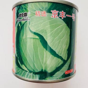 甘之都精选京丰一号甘蓝种子中熟包菜卷心菜种籽叶球扁圆春秋