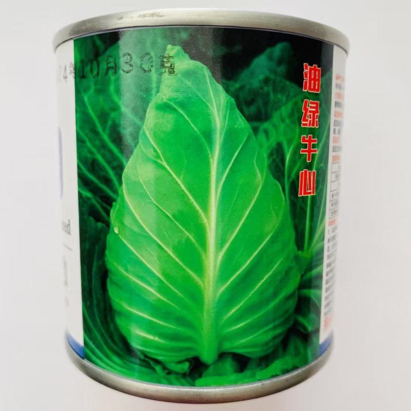油绿牛心甘蓝种子尖头甘蓝种籽早中熟高产结球紧实柔嫩包头菜