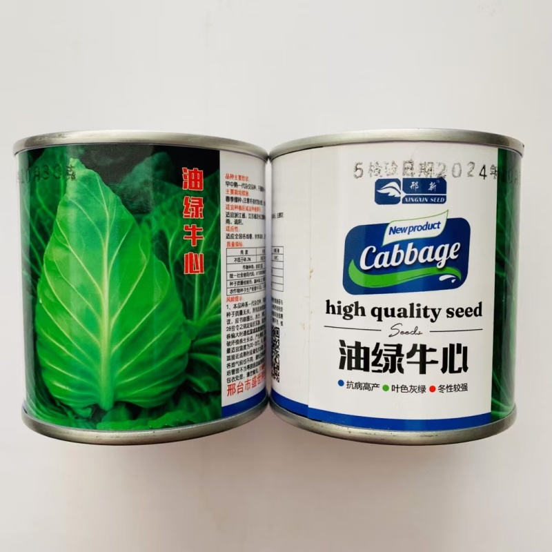 油绿牛心甘蓝种子尖头甘蓝种籽早中熟高产结球紧实柔嫩包头菜