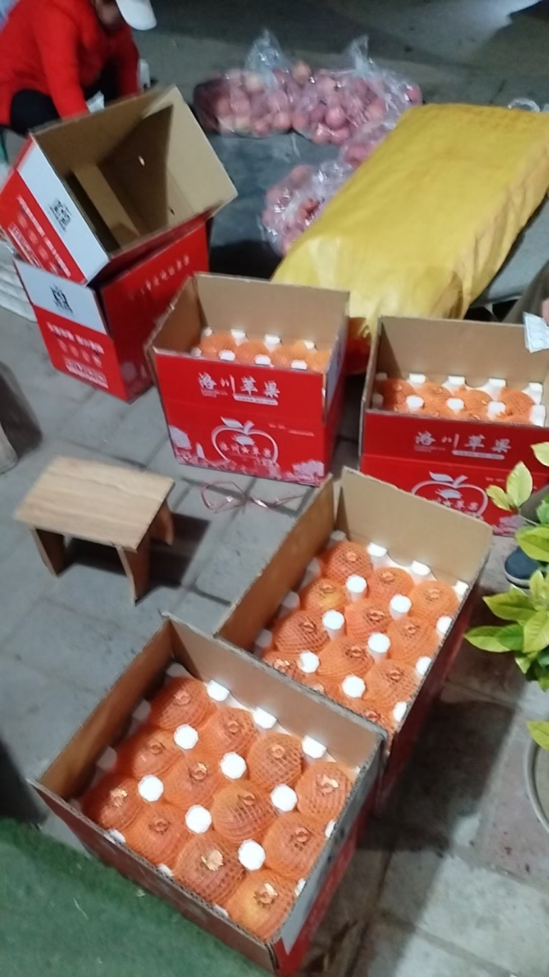 洛川红富士苹果🍎/陕西苹果/果农直发/全国代收代发