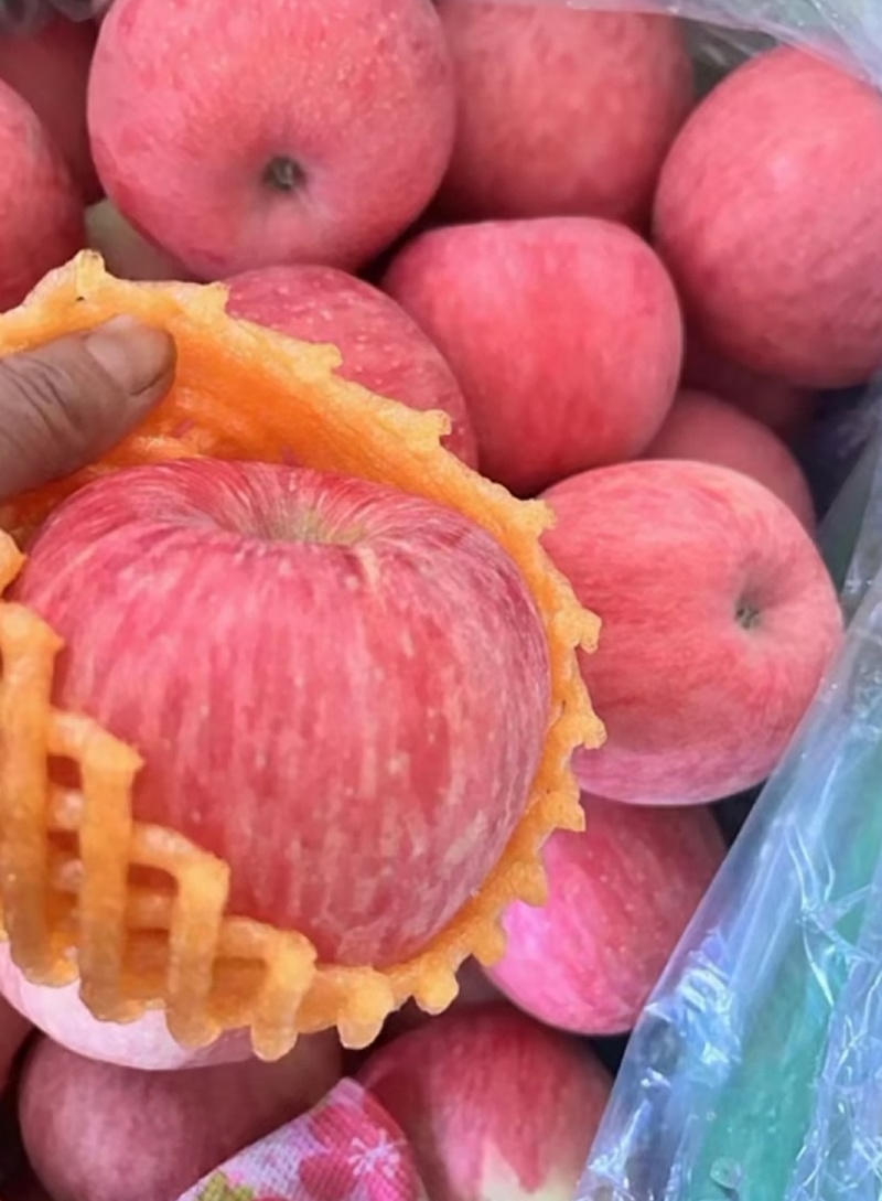 洛川红富士苹果🍎/陕西苹果/果农直发/全国代收代发