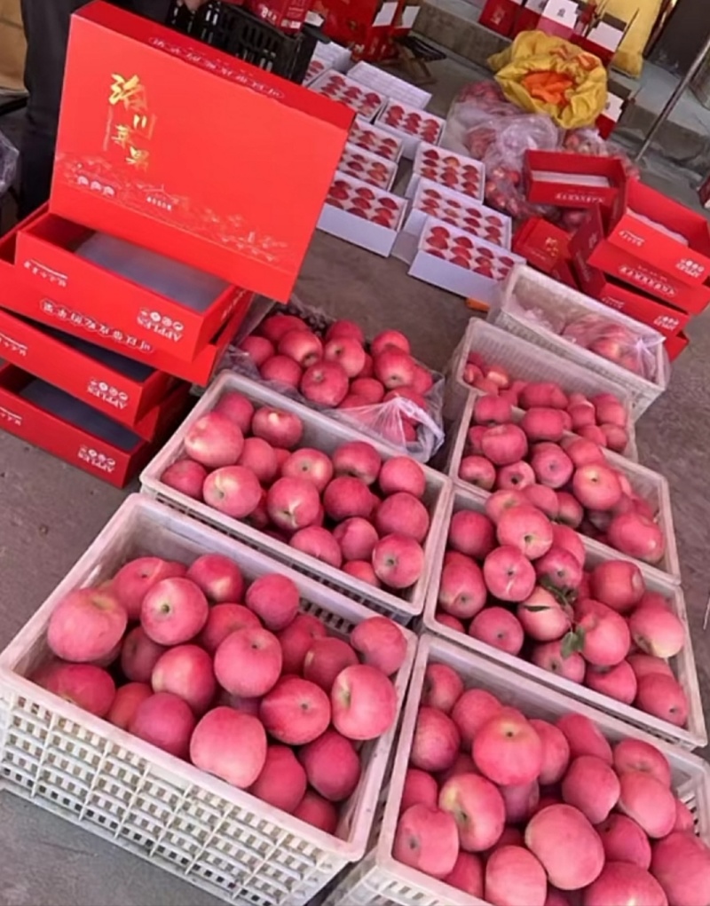 洛川红富士苹果🍎/陕西苹果/果农直发/全国代收代发