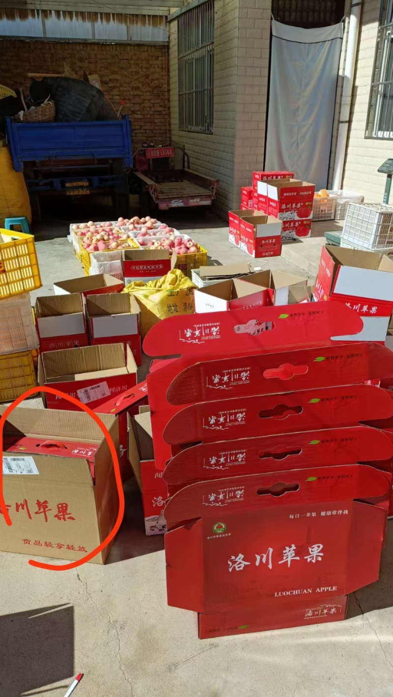 洛川红富士苹果🍎/陕西苹果/果农直发/全国代收代发