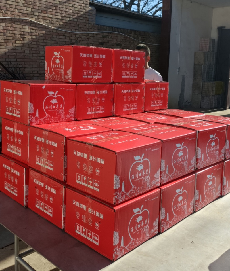 洛川红富士苹果🍎/陕西苹果/果农直发/全国代收代发
