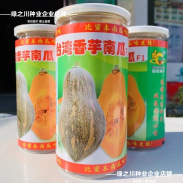 台湾香芋南瓜种子特香早熟高产杂交南瓜种子广东香芋南瓜种籽
