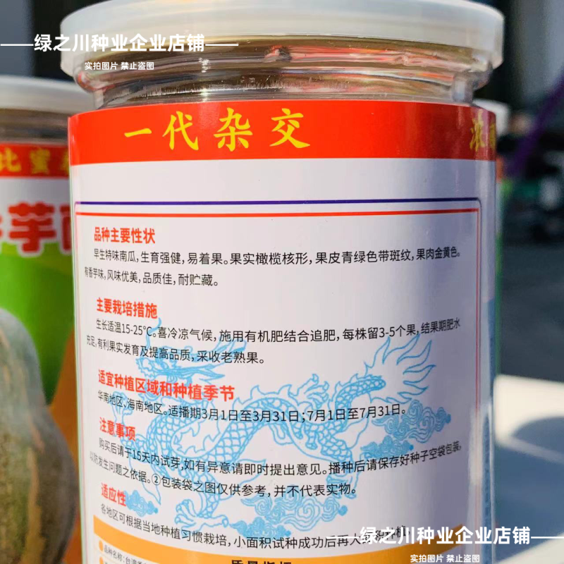 台湾香芋南瓜种子特香早熟高产杂交南瓜种子广东香芋南瓜种籽