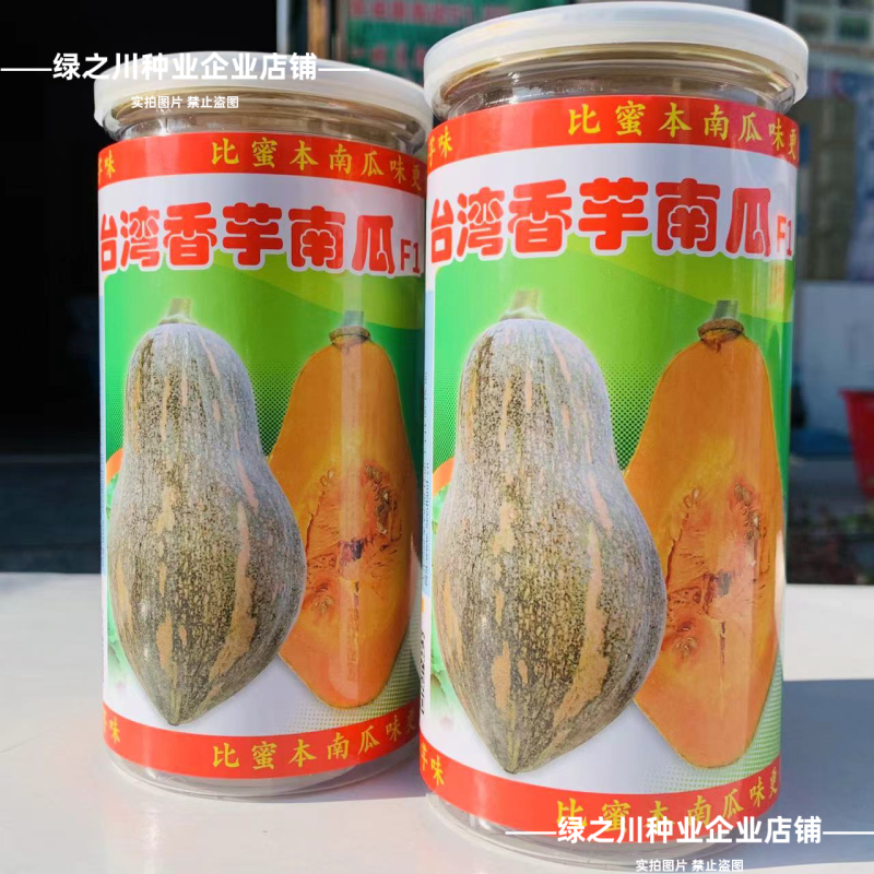 台湾香芋南瓜种子特香早熟高产杂交南瓜种子广东香芋南瓜种籽