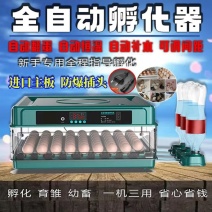 孵化器自动孵化机小型全自动家用孵化小鸡的机器水床孵蛋器孵