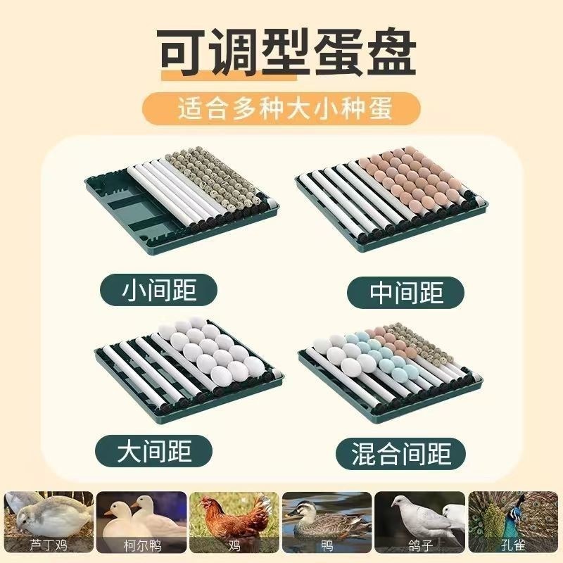 孵化器自动孵化机小型全自动家用孵化小鸡的机器水床孵蛋器孵
