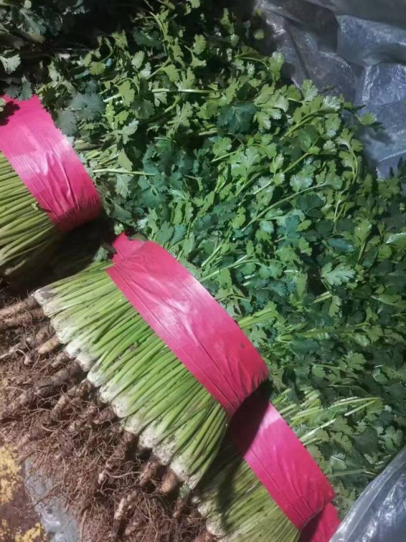 大量供应市场电商平台对接