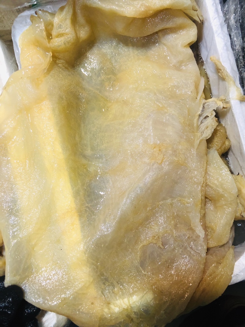 青岛当地海蜇皮（10件起售）