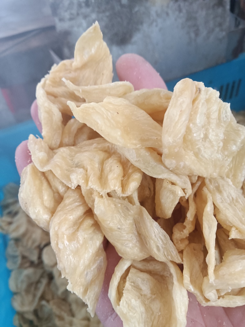 蛋白肉人造肉豆皮