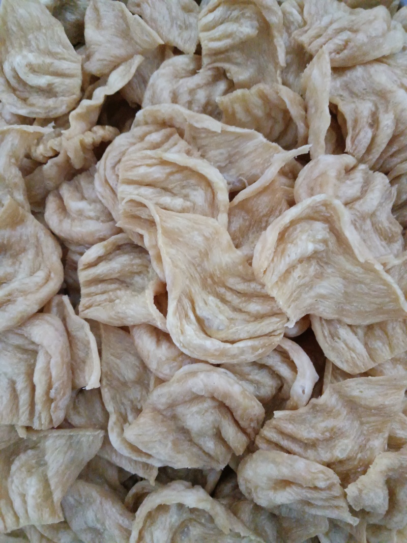 蛋白肉人造肉豆皮