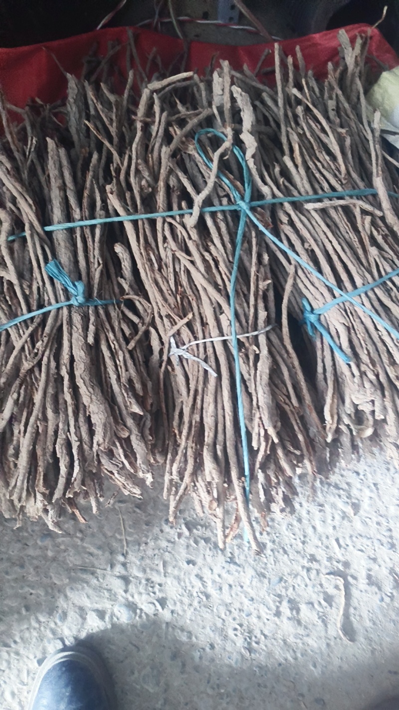 精品甜地骨皮过筛特此推荐瓜州
